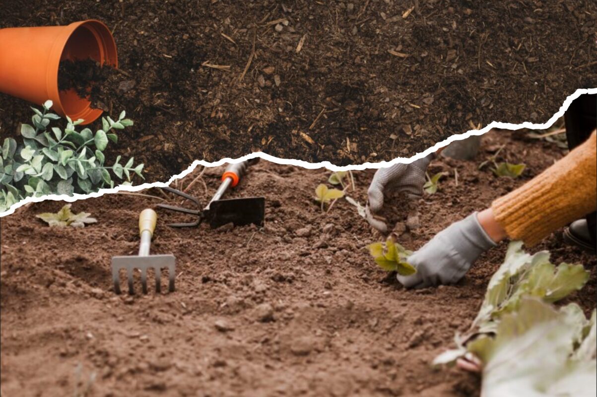 Городники назвали зайві роботи у саду восени: цього робити не потрібно