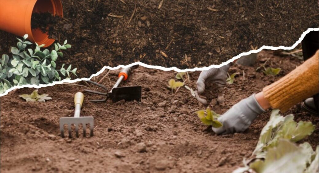 Це нікому не треба! Зайві роботи у саду восени. Не займайтеся нісенітницею – побережіть сили 