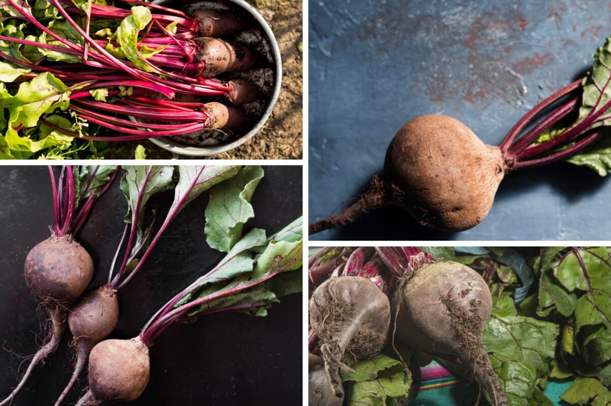 Городники розповіли, як правильно зберігати буряк, щоб пролежав аж до весни