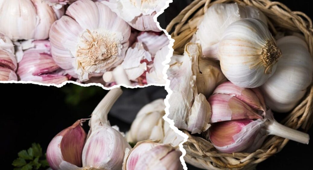 Стабільно дає МЕГА врожай: ТОП-5 найвдаліших сортів озимого часнику для посадки восени 2025 