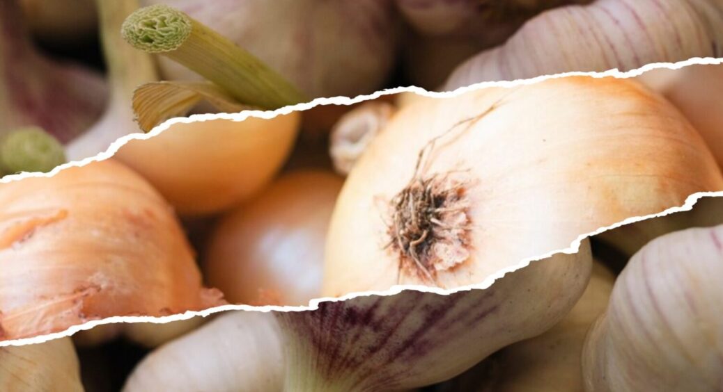 До 31 жовтня маєте час: найсприятливіші дні для посадки озимого часнику та цибулі восени 2025 
