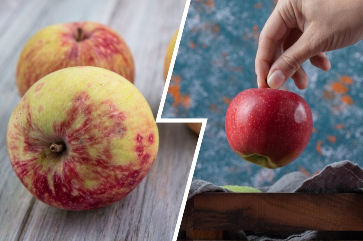 Дачники розповіли, як з користю використати гнилі яблука на городі