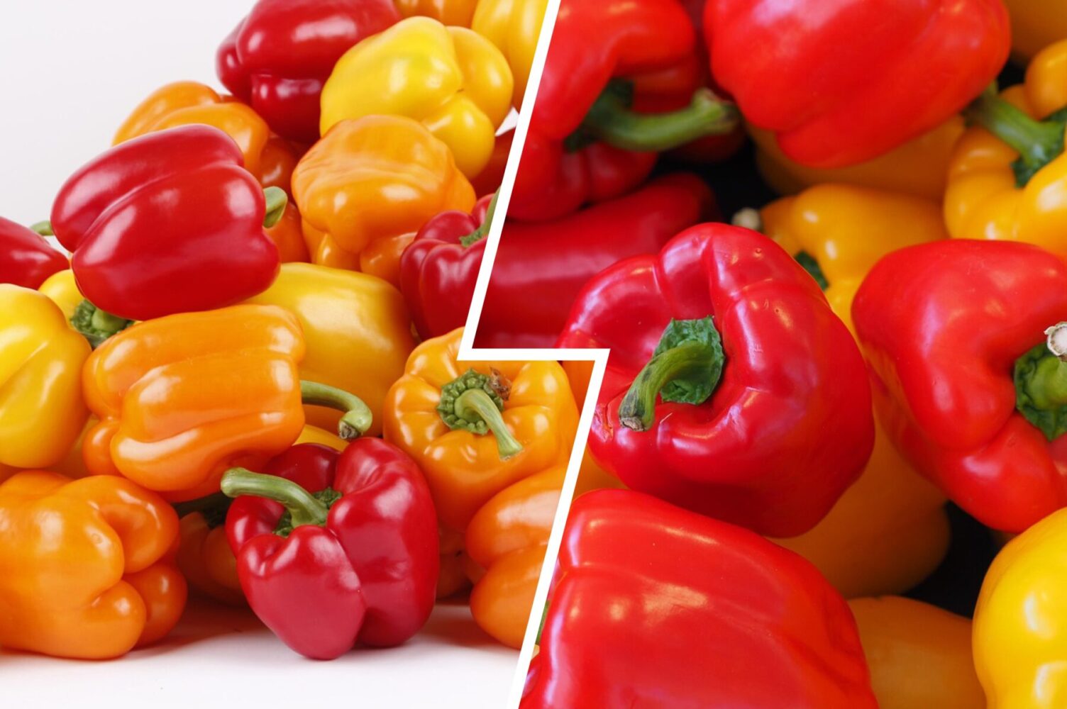 Агрономи розповіли, як зберегти врожай перцю на довгі місяці