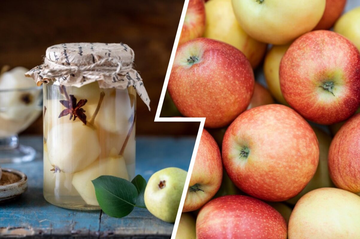 Кулінари поділились рецептом домашніх квашених яблук на зиму