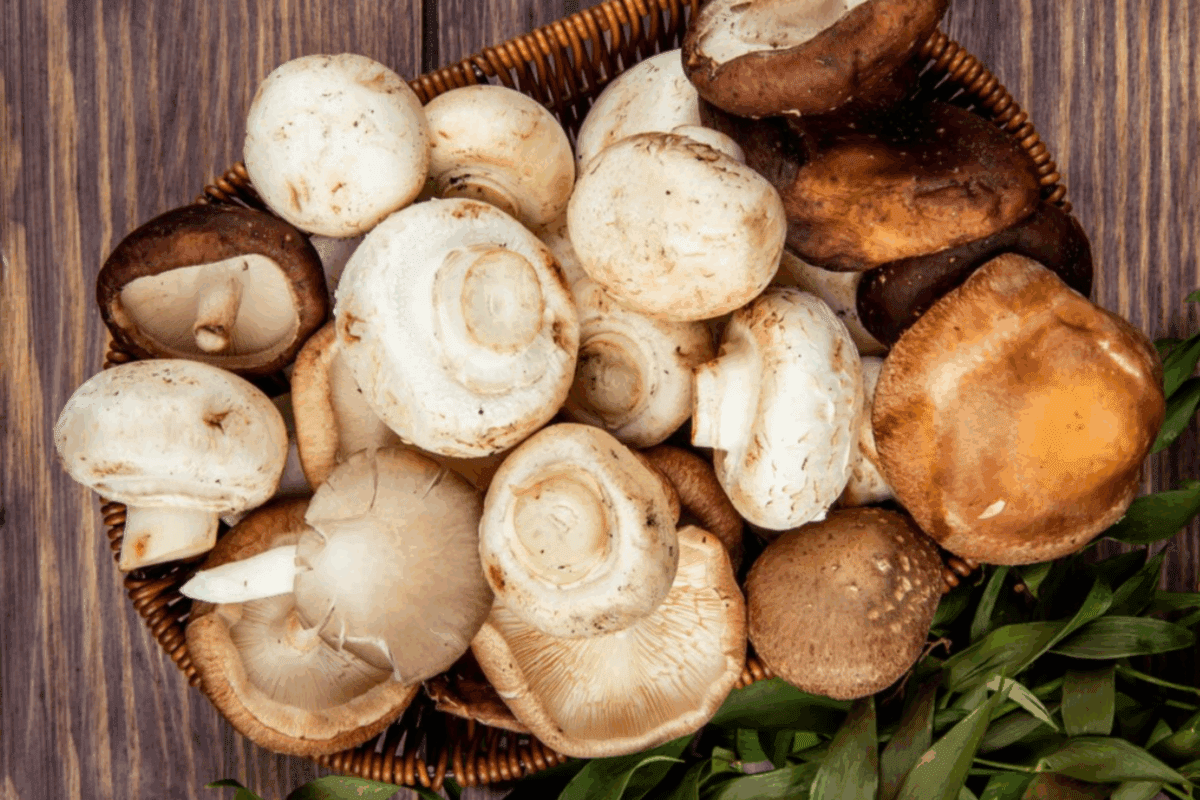 Кулінари поділились рецептом пирога з грибами нашвидкуруч Кулінари поділились рецептом пирога з грибами нашвидкуруч