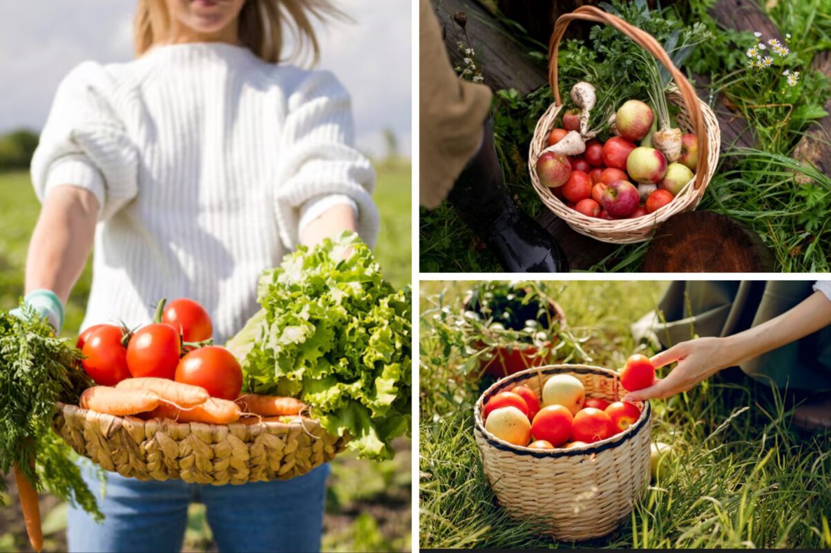 Городники назвали 5 рослин, які не витримують жодні заморозки