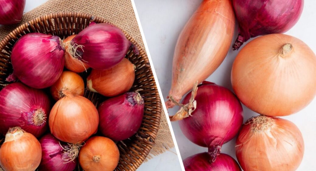 У вас ще є 2,5 місяця: найсприятливіші дні для посадки озимої цибулі восени 2025 