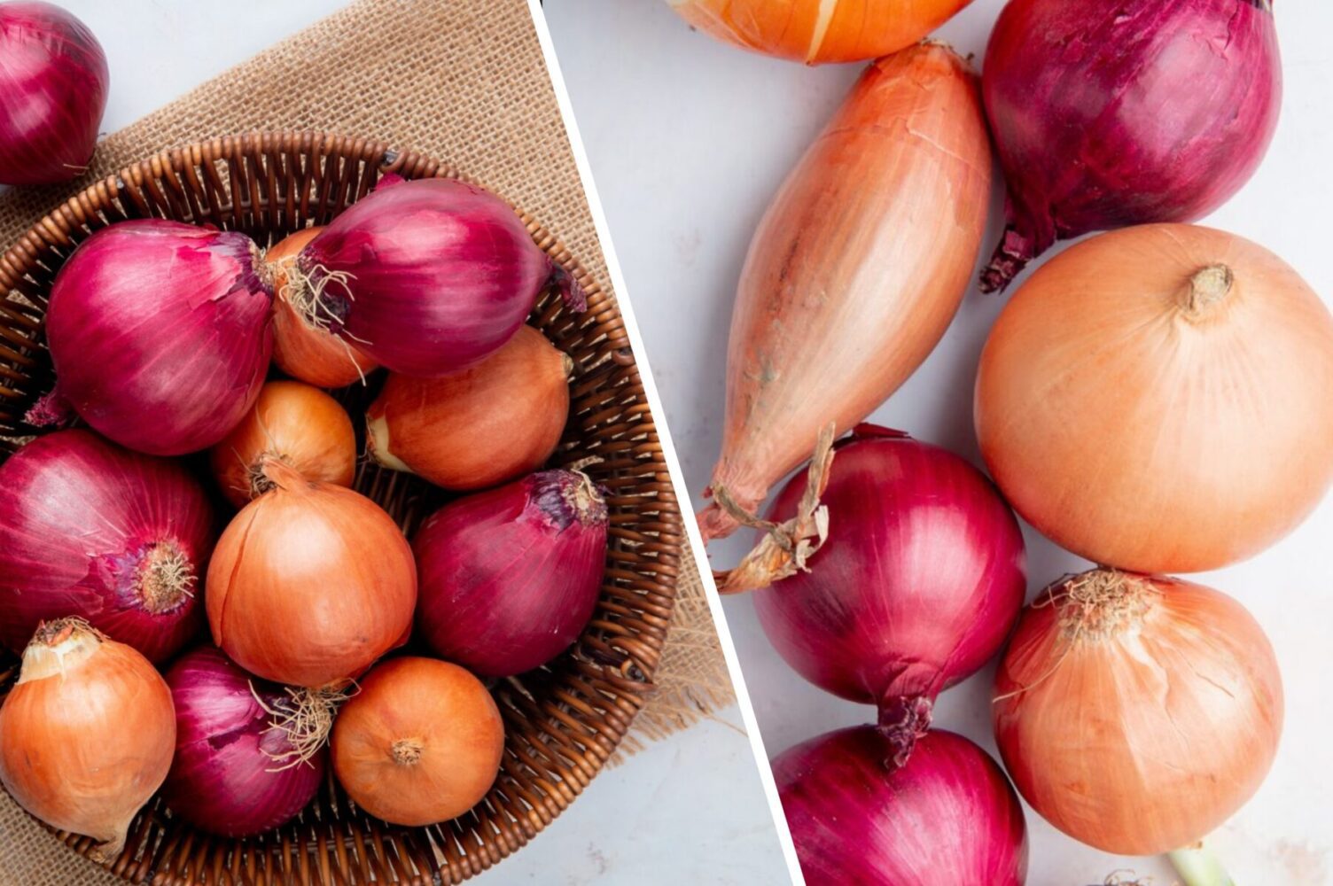 Городники назвали найкращі дні для посадки озимої цибулі восени 2025