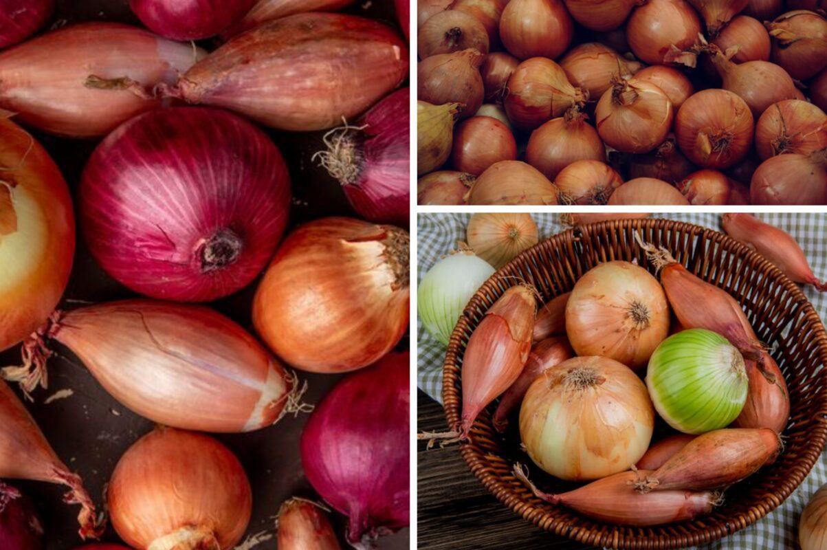 Експерт розповів, у чому ніколи не можна зберігати цибулю 