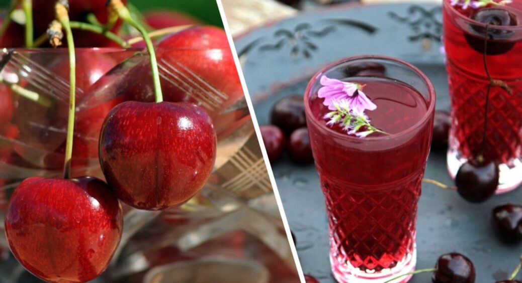 5 житомирських сортів вишні для компоту: ароматні, солодкі, ягоди розміром з добру часничину 