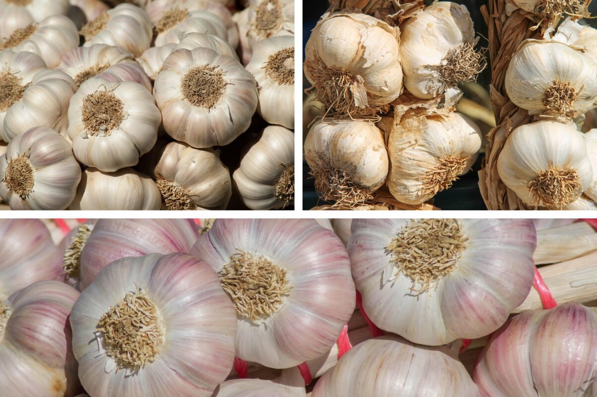 Дачники розповіли, як правильно зберігати врожай часнику без погребу