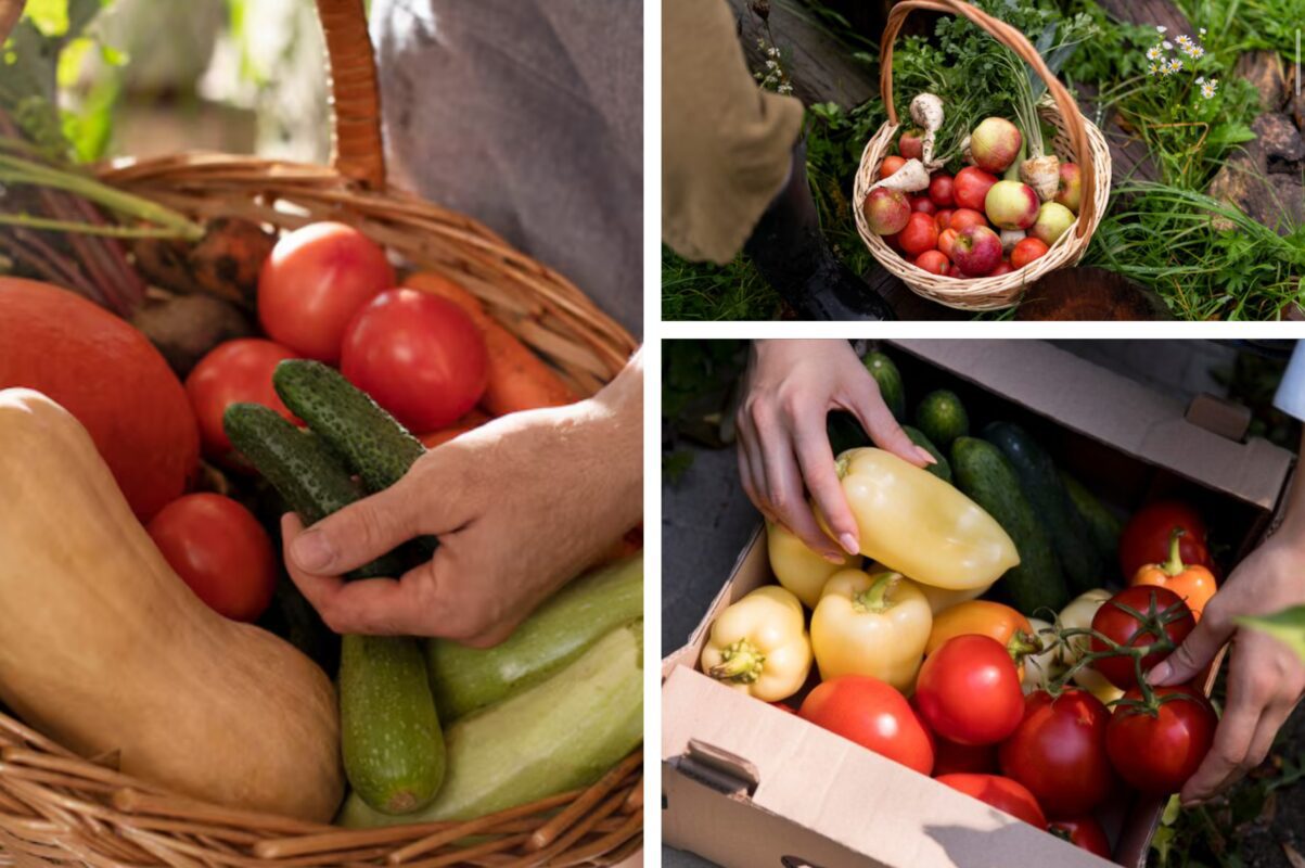 Городники розсекретили пʼять рослин, які стабільно дають поганий врожаю