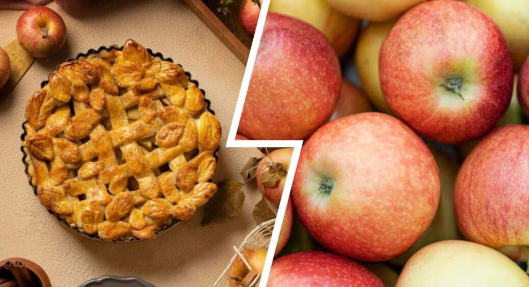 Беру яблука – і ще 6 продуктів: аромат випічки на всю квартиру – “Шарлотка” відпочиває! Рецепт 