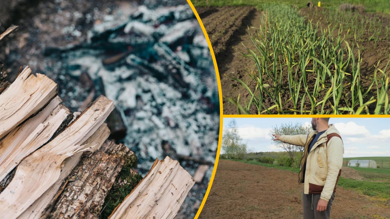 Агрономи пояснили, як використовувати попіл для підживлення городу