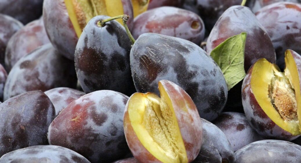 Які фрукти краще сушити саме у вересні: яблука, груші, сливи, персики — що дозріло, а що ні 