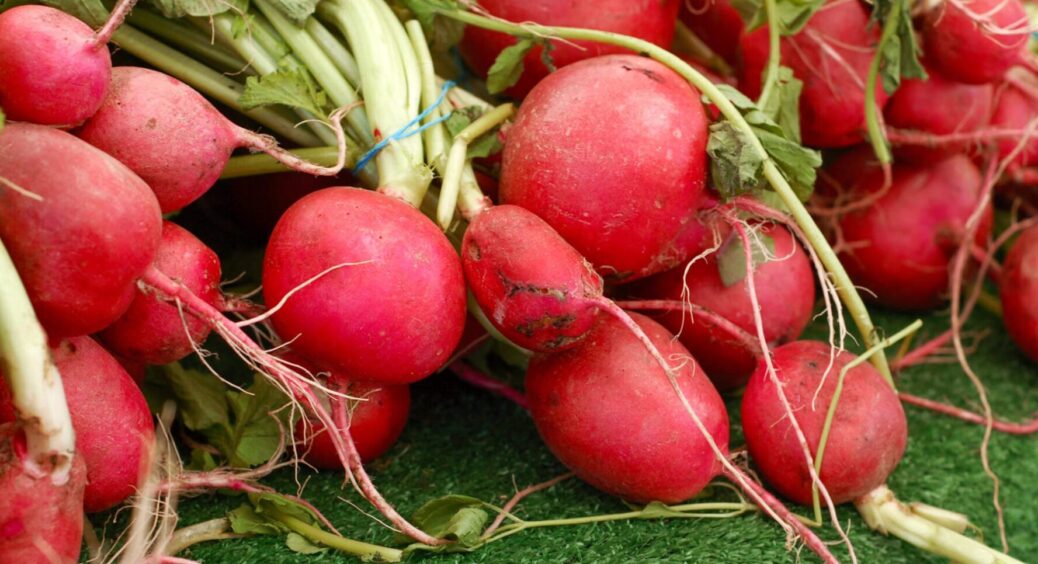 Дачний сезон 2026 стартує – і одразу висаджую редиску: 4 найсолодші сорти овочу 