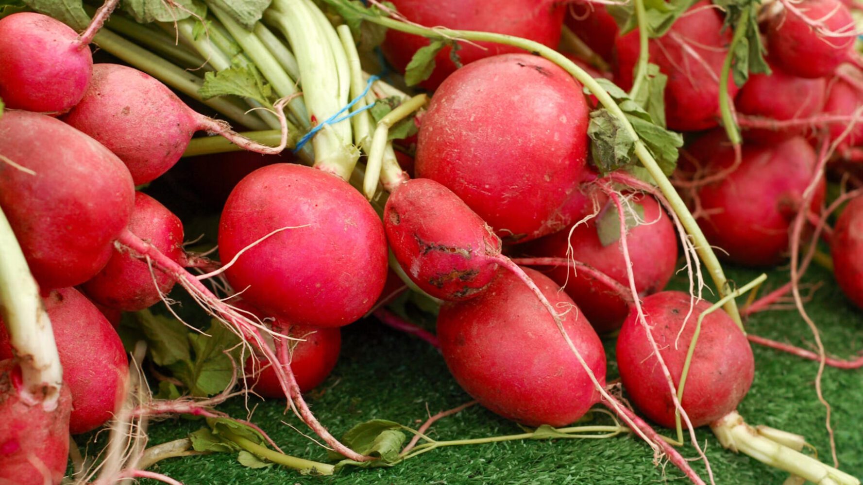 Городники назвали сприятливий час для посіву редиски в листопаді та грудні