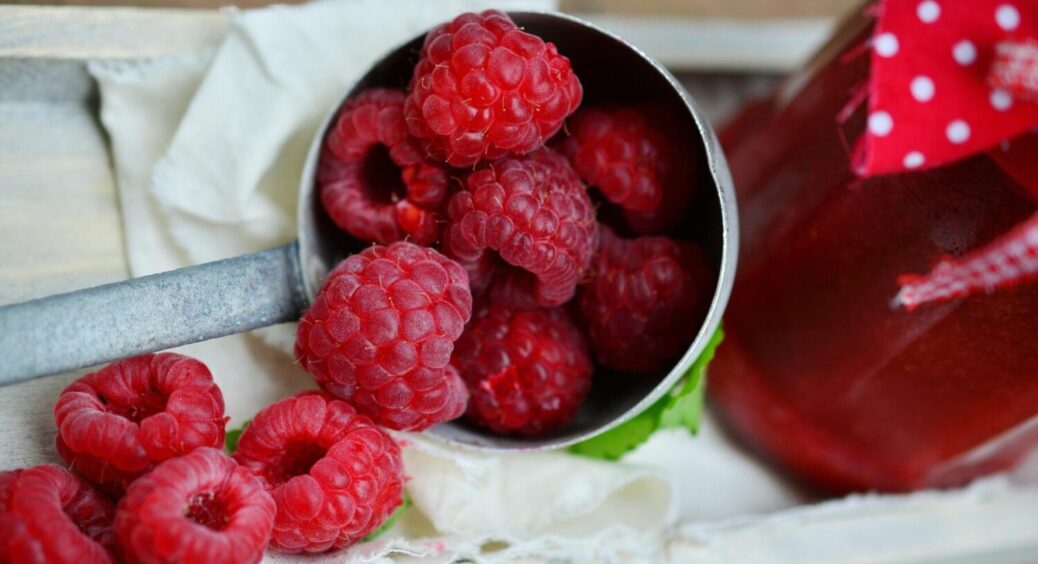 Пересадка малини восени: ТОП-5 правил для перевіреного пересаджування кущів ТУТ 