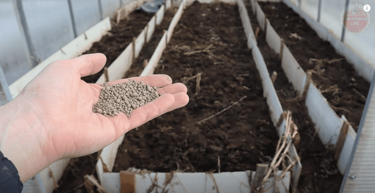 Городники розповіли, що потрібно обов'язково зробити у теплиці восени