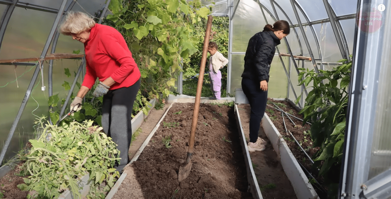 Городники розповіли, що потрібно обов'язково зробити у теплиці восени