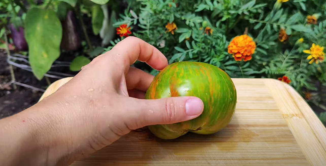 Городниця показала популярні сортові томати в розрізі