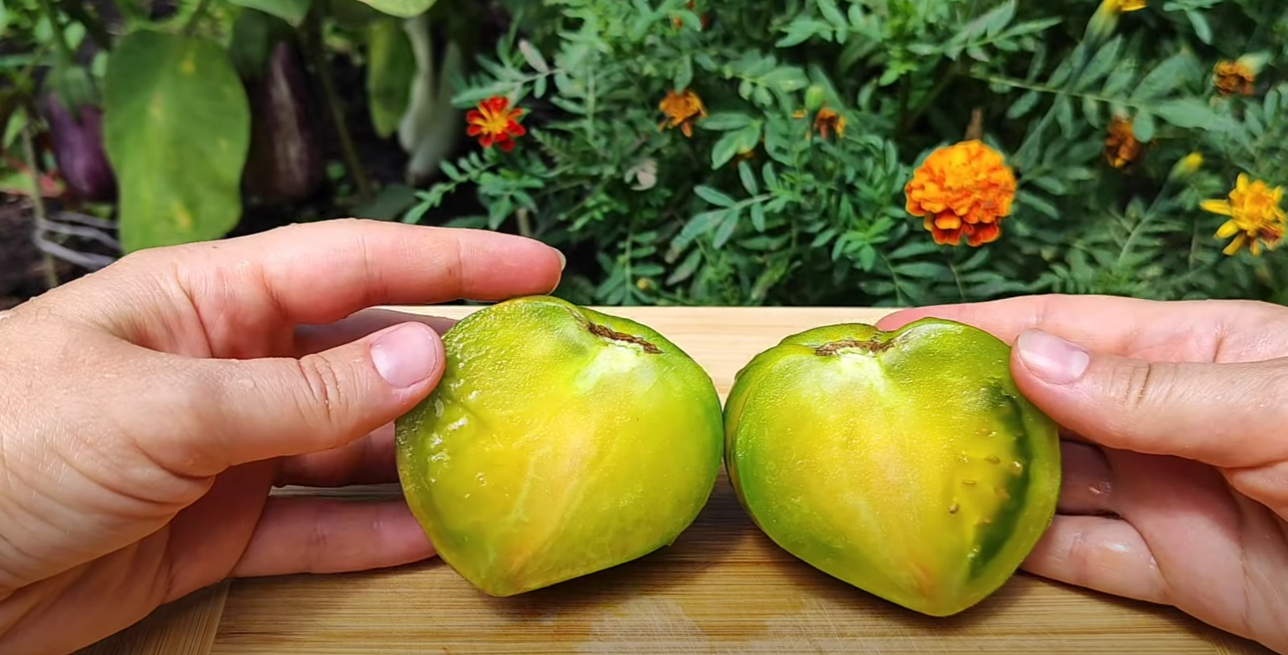 Городниця показала популярні сортові томати в розрізі