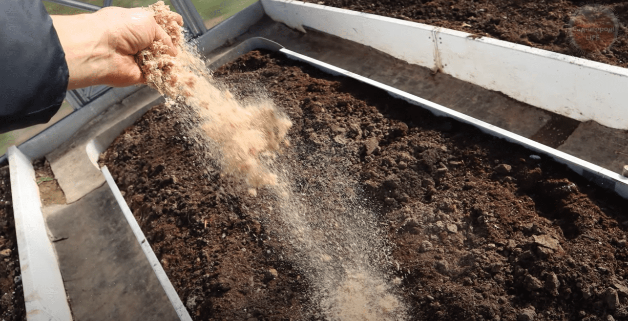 Городники розповіли, як легко відновити родючість землі у теплиці