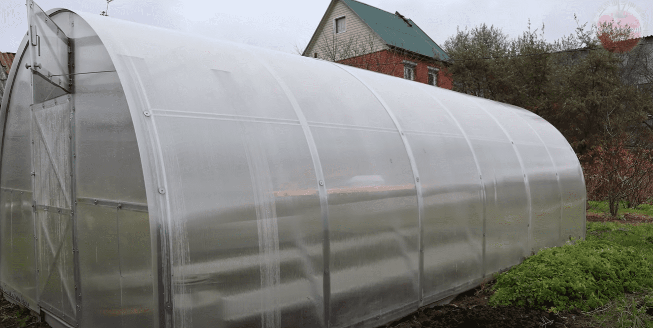 Городники розповіли, як легко відновити родючість землі у теплиці