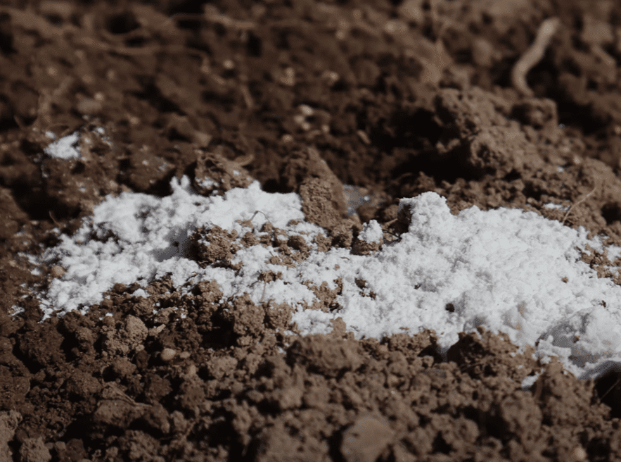 Городники розповіли, чим підживити город восени