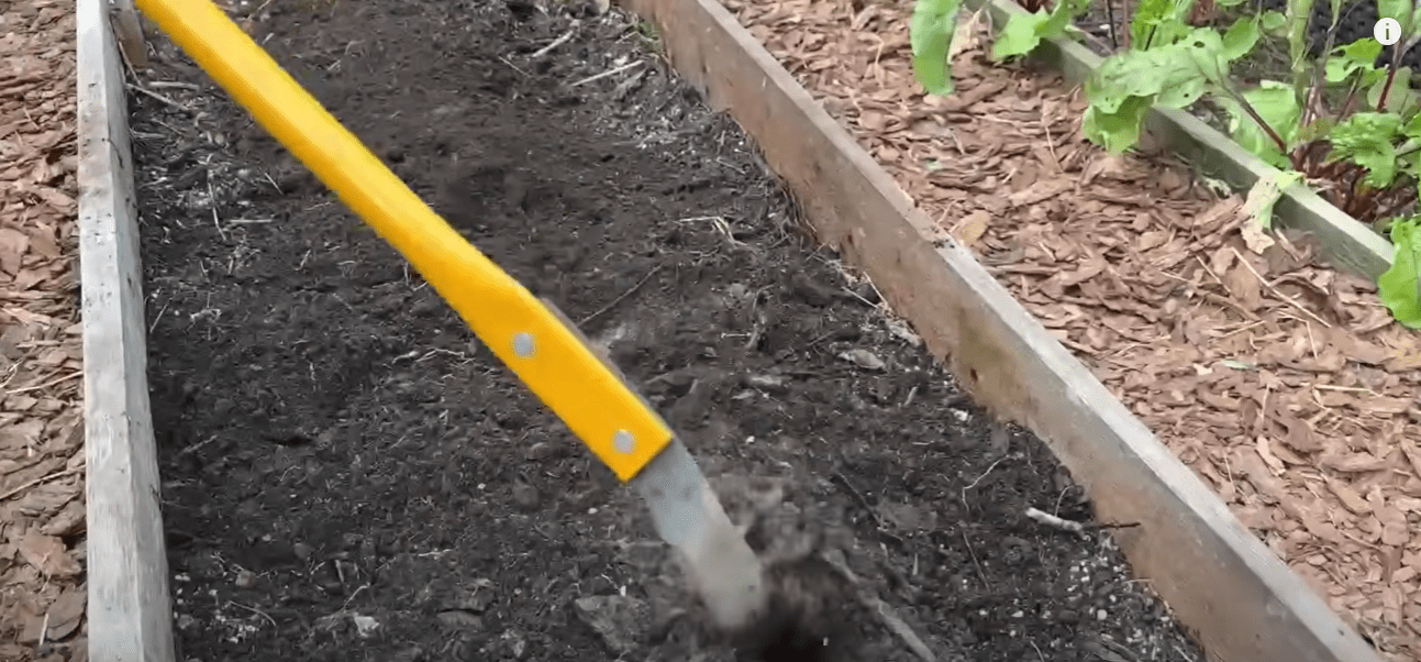 Городники розповіли, що потрібно обов'язково зробити після збору томатів