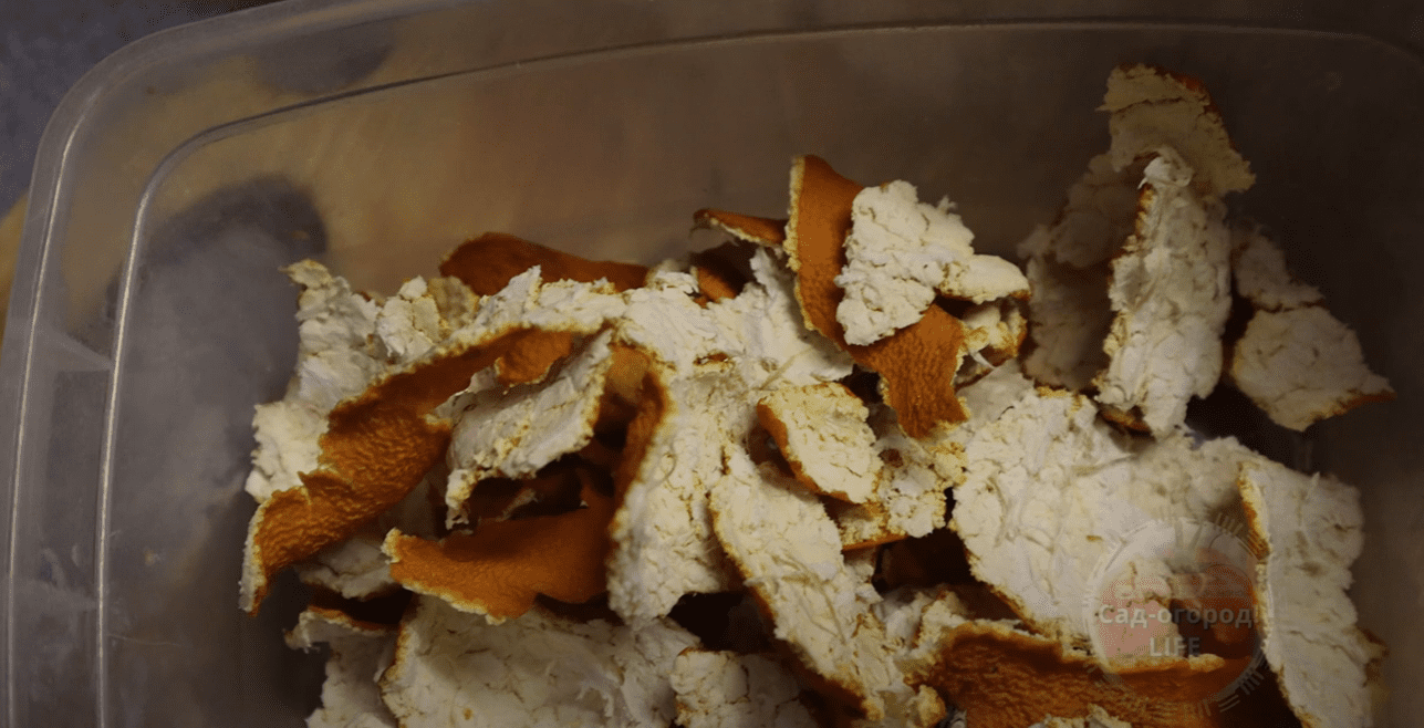 Городники назвали добриво, яке живить землю краще, ніж гній та зола