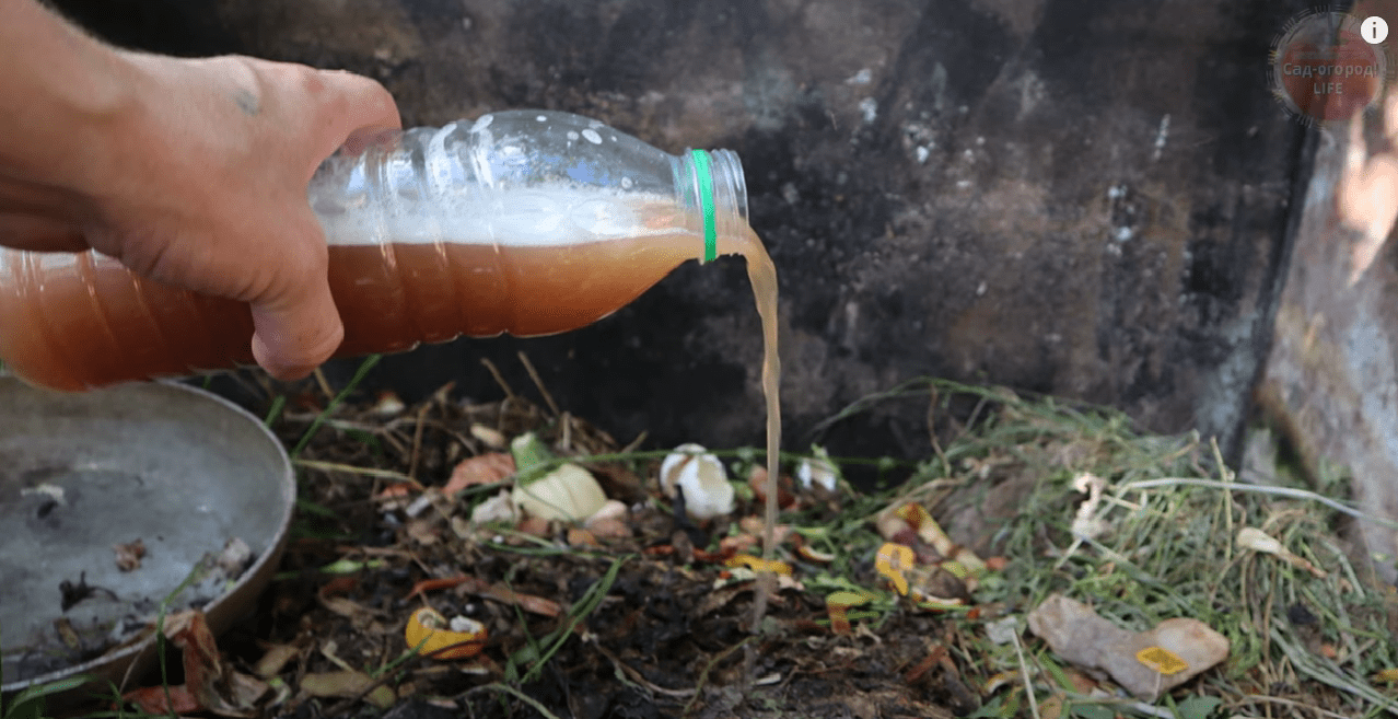 Городники розповіли, чим полити компост восени, щоб прискорити дозрівання