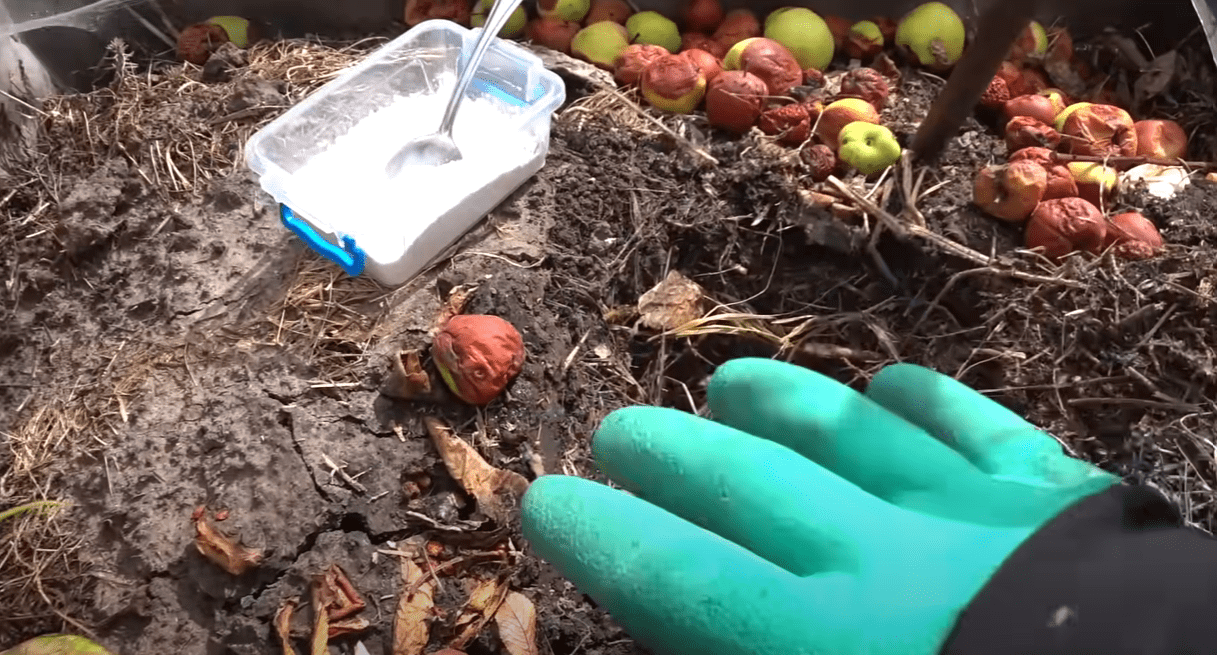 Городниця розповіла, як прискорити дозрівання осіннього компосту у 3 рази