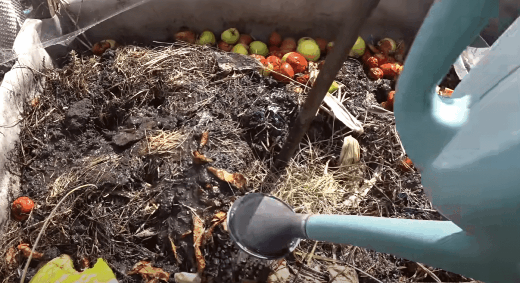 1 лійка восени – щоб швидко перегнили бадилля, гілки і навіть кістки пролийте компост ЦИМ 
