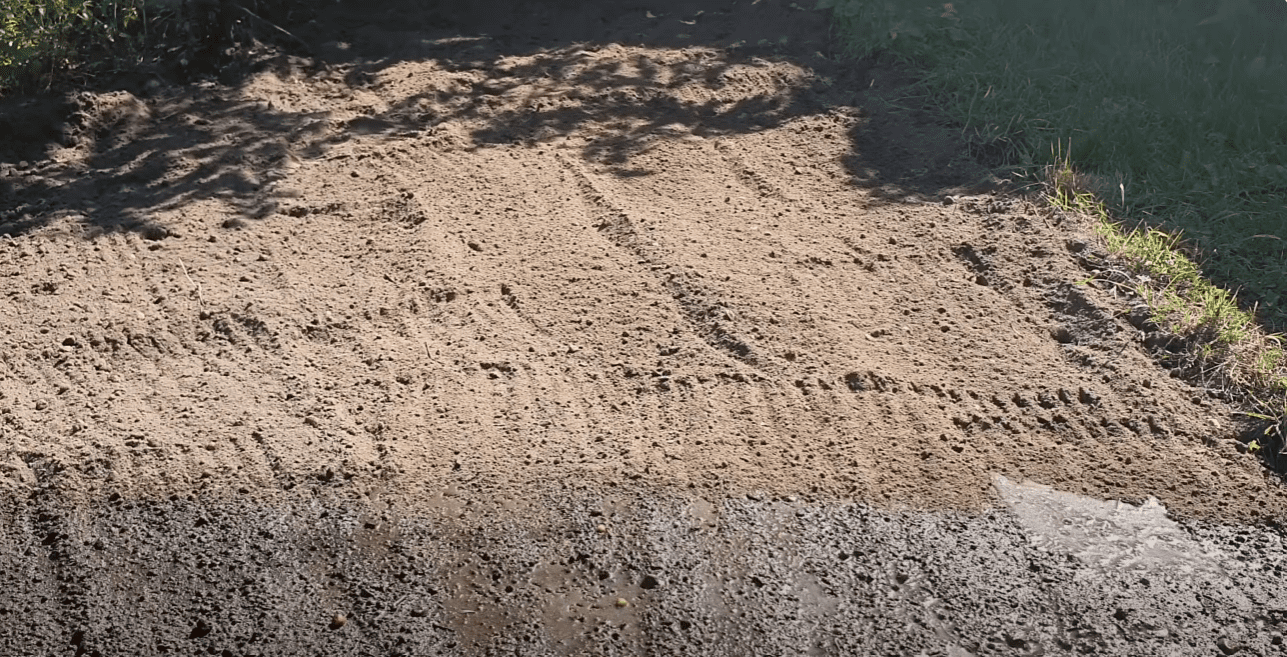 Городниця дала рецепт потужного добрива: поливати ґрунт і земля як нова