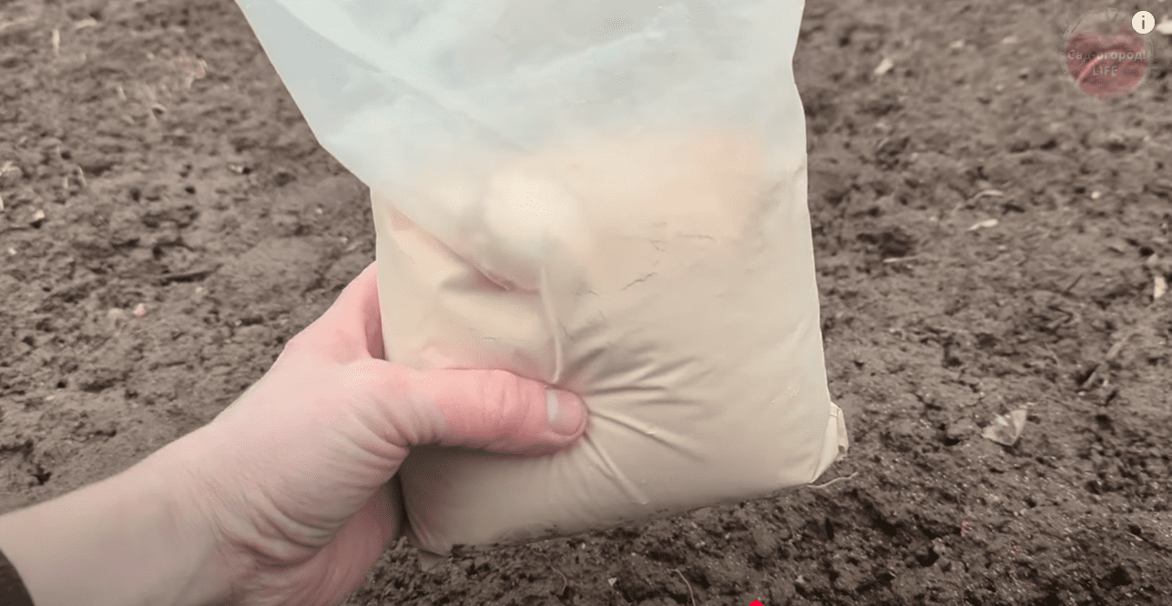 Городники назвали найкраще осіннє добриво для ґрунту