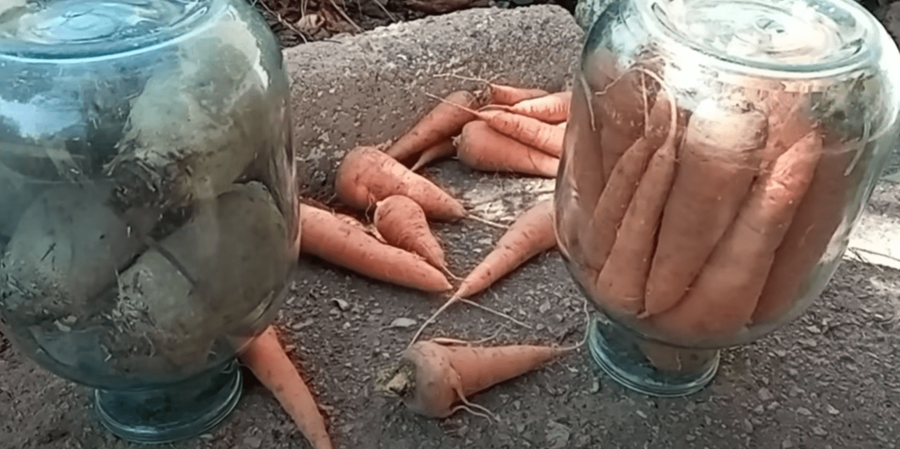 Городники розповіли, як зберегти хрусткими моркву та буряк до самого літа