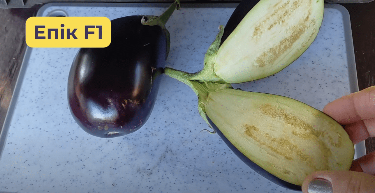 Городники назвали найкращі сорти баклажанів 2025 року