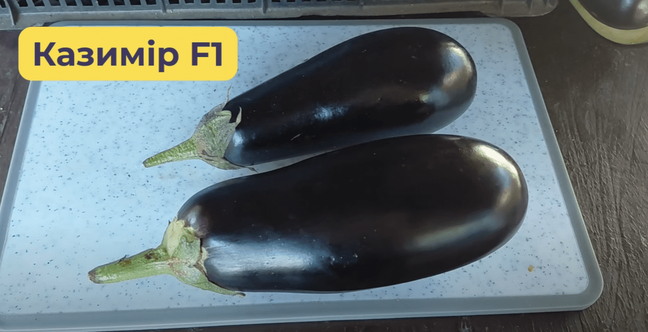 Городники назвали найкращі сорти баклажанів 2025 року