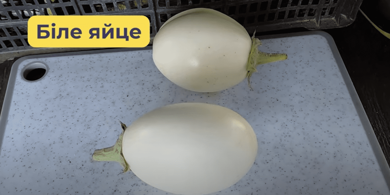 Городники назвали найкращі сорти баклажанів 2025 року