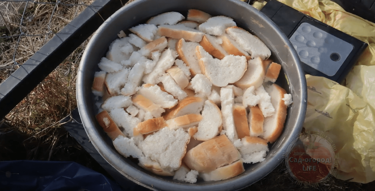 Городники назвали найкраще осіннє добриво для ґрунту