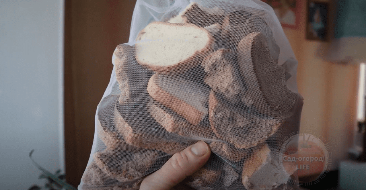 Городники назвали найкраще осіннє добриво для ґрунту