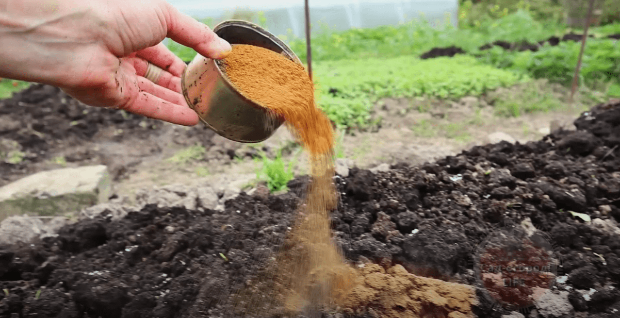 Городники назвали найкраще осіннє добриво для ґрунту