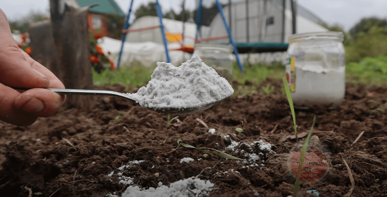 Городники розповіли, що внести ґрунт у жовтні для максимального врожаю