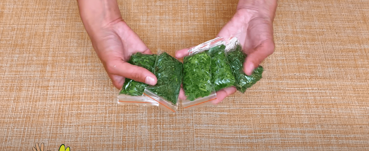 Кулінарка дала найефективніший спосіб заморозки зелені на зиму