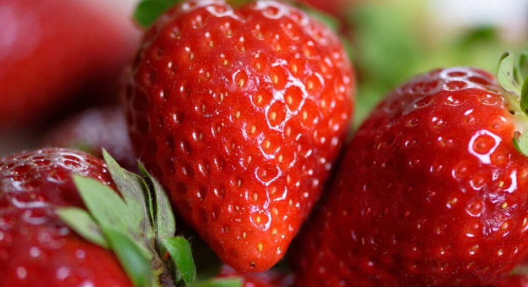 Завжди вкриваю полуницю на зиму цим: наступного сезону ягоди великі і соковиті 