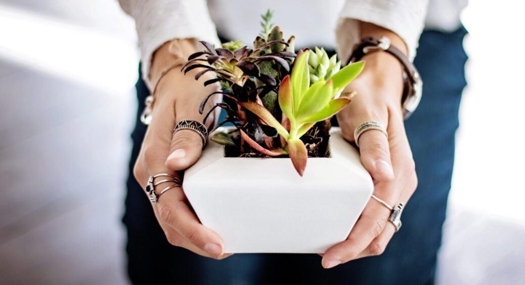 1 “реанімаційна” дія – і зів’ялі квіти оживають: домашній розчин працює безвідмовно 