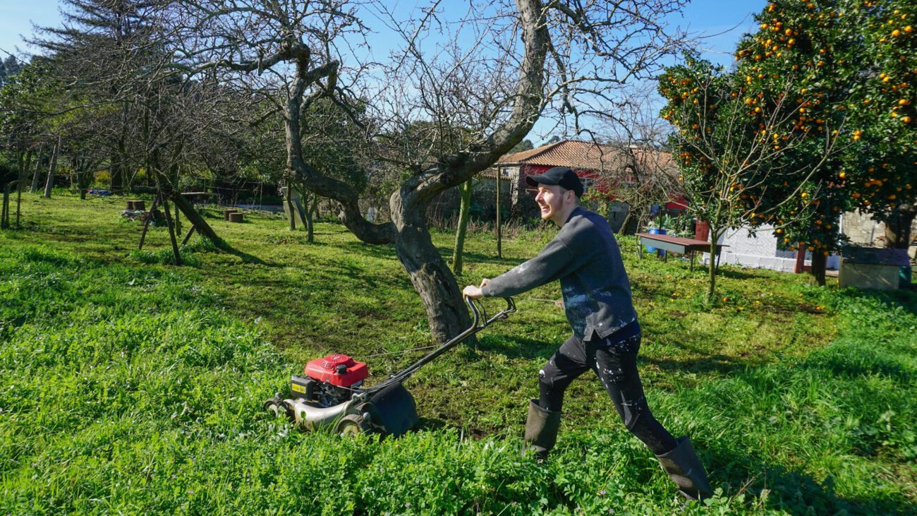 Агрономи назвали головний секрет успішної зимівлі саду