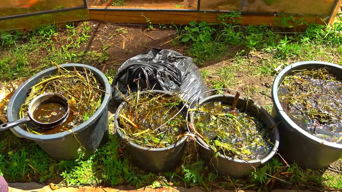 Господарі показали, як приготувати корисне добриво із бур'янів і скошеної трави