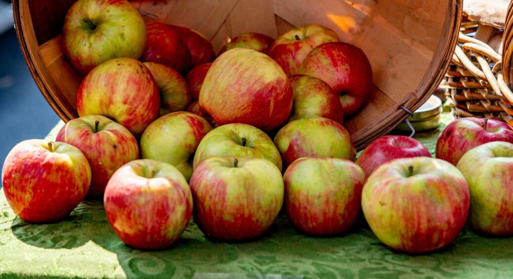 У сусідів яблука дрібні і в шкідниках, а у мене великі і соковиті — ось що я роблю восени 
